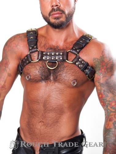 Bulldog Deluxe Leather Harness - Rough Trade Gear