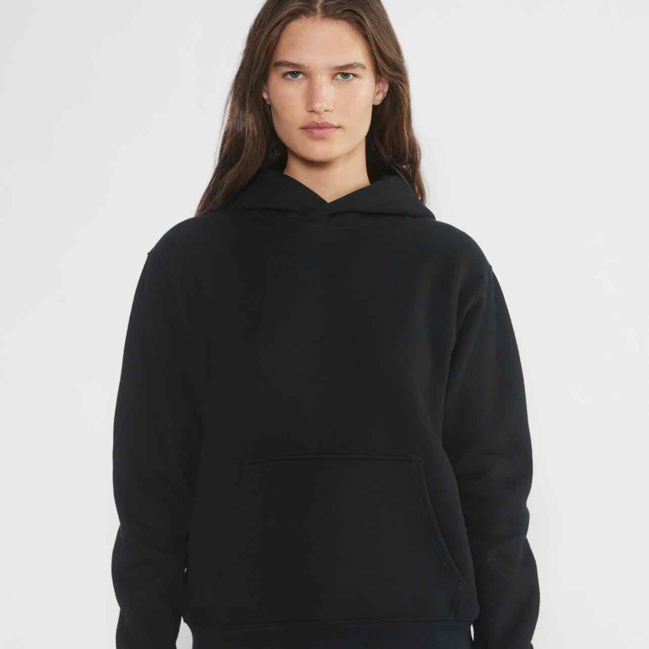 aritzia hoodie