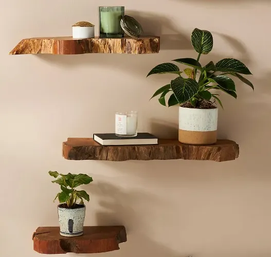 Takara Live-Edge Shelf