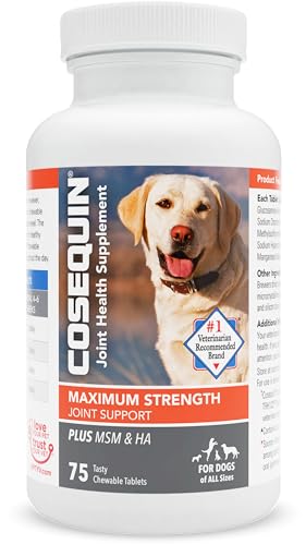 Nutramax Cosequin Maximum Strength Joint Health Supplement for Dogs - With Glucosamine, Chondroitin, MSM, and Hyaluronic Acid, 75 Chewable Tablets (Pack of 1) - 75 Chewable Tablets (Pack of 1)