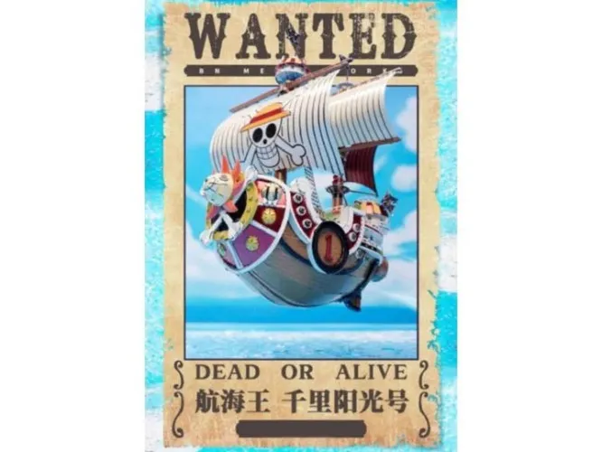 One Piece BN Metal Works Thousand Sunny Model Kit