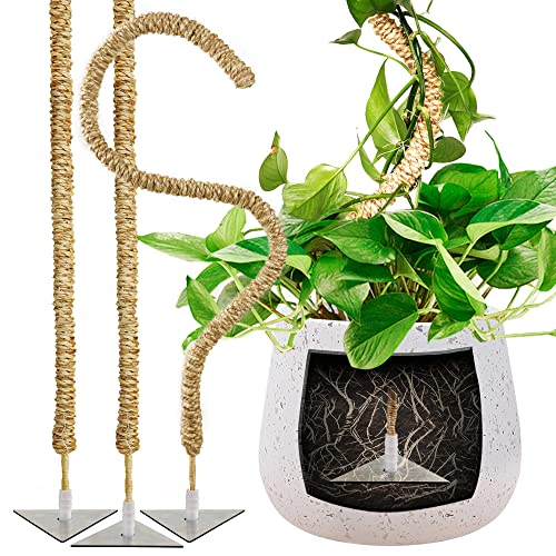 JonesHouseDeco Tall Bendable Moss Pole, 3 x 1m Sisal Rope Stick for Big Climbing Plants to Grow Upwards. Moss Stake, Handmade Plant Support, Train Indoor Potted Plants Monstera Grow Upwards - 100cm-3Pack