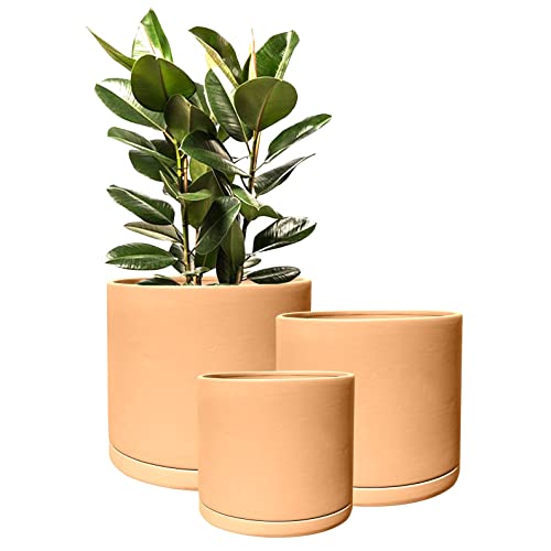 Olly & Rose Rome Terracotta Plant Pots Garden Planters Set 3 Indoor Outdoor Ceramic Plant Pots Round with Saucers - Terracotta