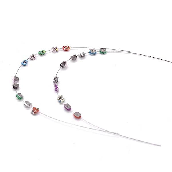 Angzhili 1 Pack Temporary Tooth Decoration with Metal Wires,Metal Bracket and Orthodontic Ligature Ties,Practice Props for Dental Students,Orthodontist Explain Props (Multi-colored)