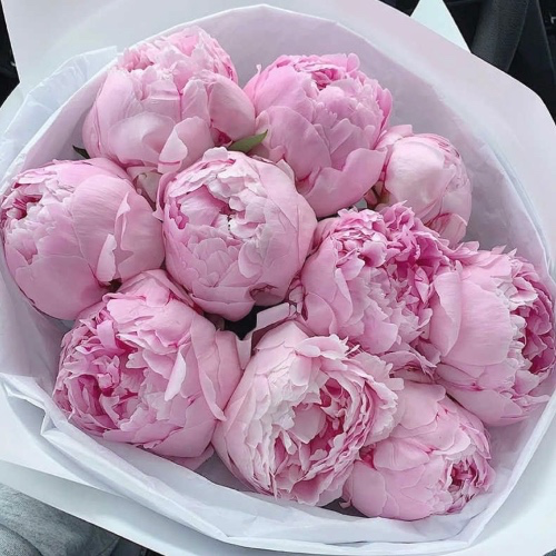 Thinking of you 🤍