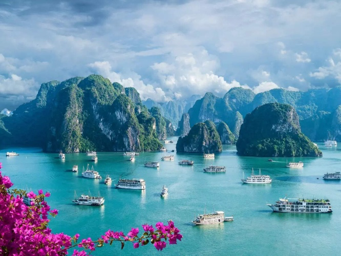 Vietnam 🇻🇳 
