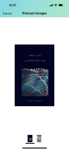 This Is Me Letting You Go by Heidi Priebe