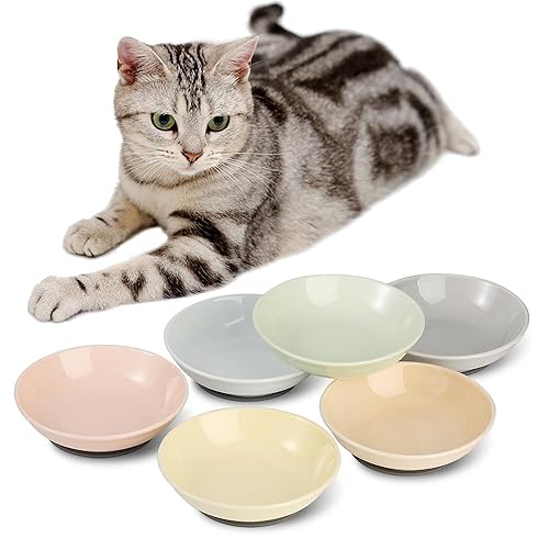 Katzen Futternapf Fressnapf Katze Keramik - Katzennapf Set mit Antirutsch Matte - Bunte Katzennäpfe - Katzenfutter Napf - Katzenschüssel Flach - Futterschale Katze - Katzen Napfset - 6 Stück - 250 ml - 250 ml - 6 Farben