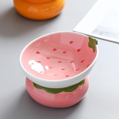 Diskary Katzennapf,Futternapf Katze Erhöht Fressnapf Katze mit Neigung Design,Futternapf Katze Keramik,Wassernapf Katze,perfekt für Katzen,Welpen und kleine Hunde (Erdbeere 15°) - Erdbeere 15°