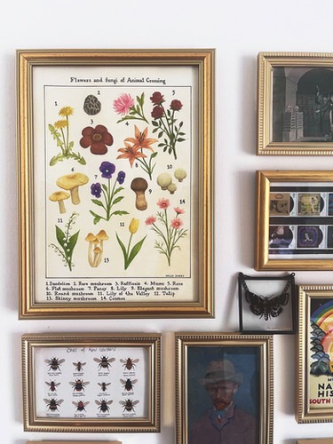 Flowers and fungi of Animal Crossing vintage flora print 