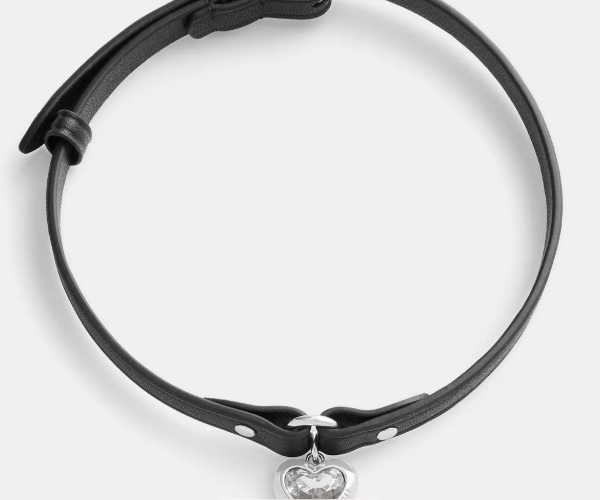 Coach | Heart Charm Leather Choker