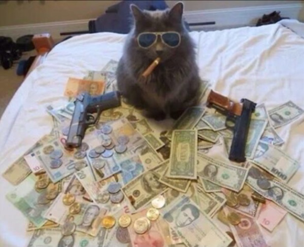Rich B*tch Mode?