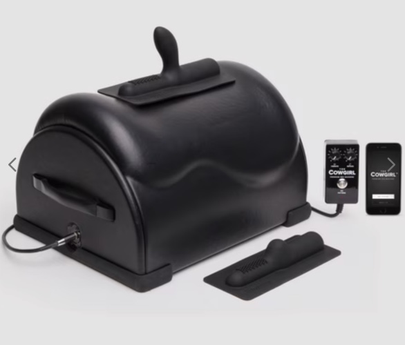 Cowgirl Riding Toy Machine