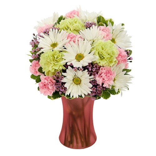 Fresh as a Daisy Bouquet - Fresh as a Daisy Bouquet / BF390-11KM