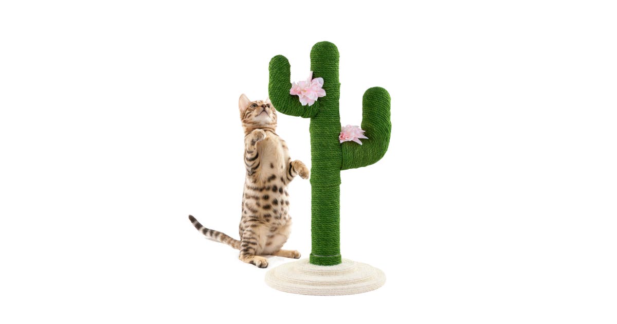 Pawever Pets Cactus Cat Scratcher Tree |  |
