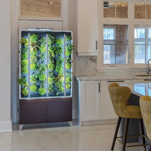 The ECO Living Green Wall - Walnut