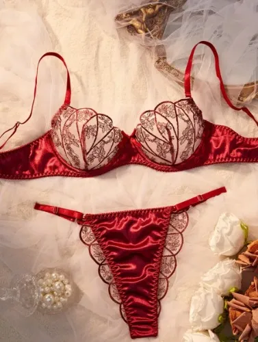 Wine red floral embroidered lingerie set 
