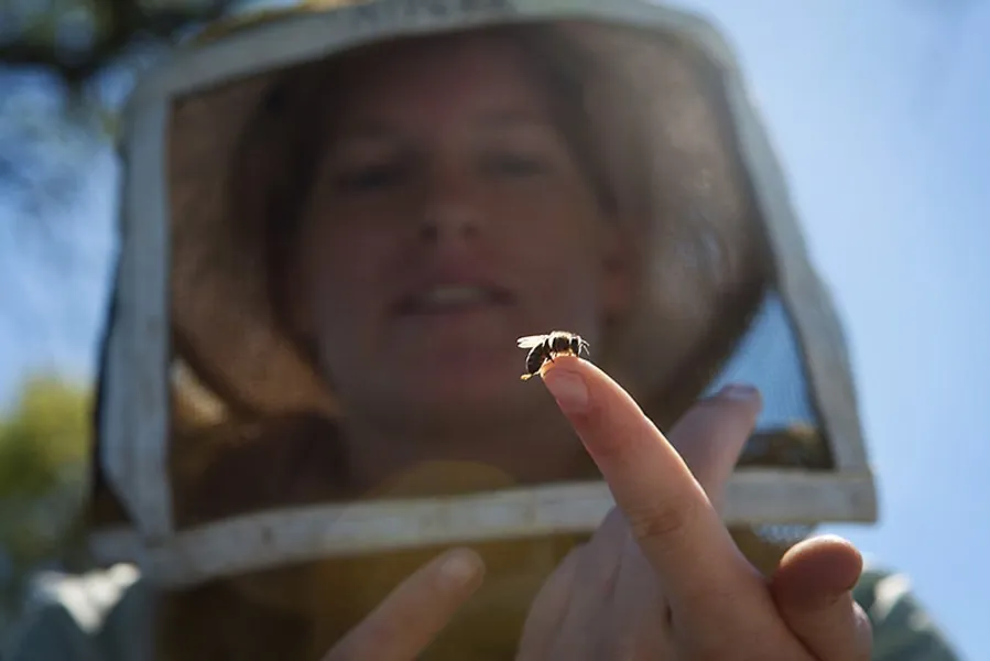 Charity Donation: Earth Justice lawyers