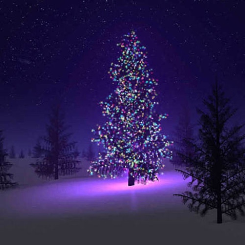 Colorful Firefly - Solar mini LED Christmas lights on Strings - 100 Bulbs