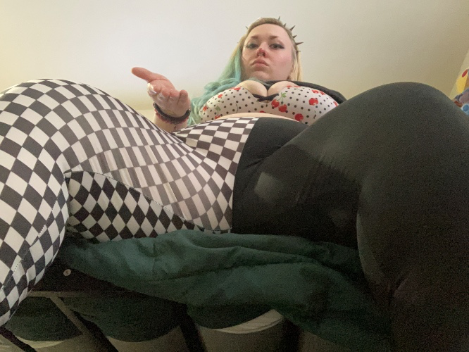 Look at This Tiny Brained Dog!!!