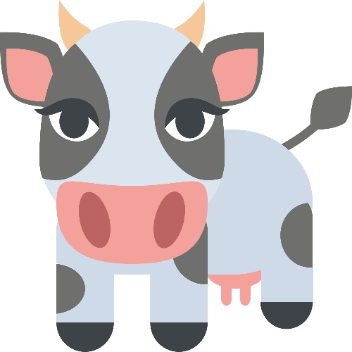 $50 VERY happy cow gift🐮💕