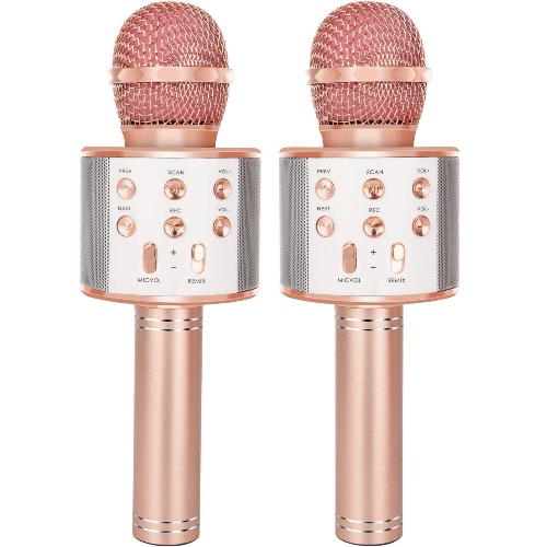Microphones for Kid 2 Pack Wireless Bluetooth Karaoke Microphone for Singing, Portable Handheld Mic Speaker Music Player Recorder for Christmas, Birthday, Home Party - Pink