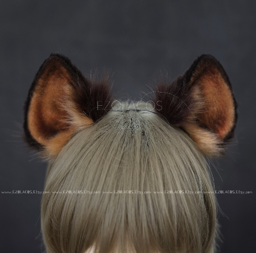 Hyena Ears and Tail