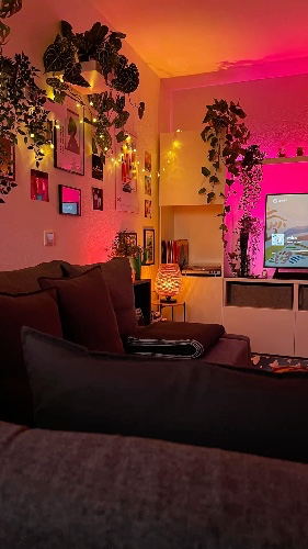 fund my la apartment! 