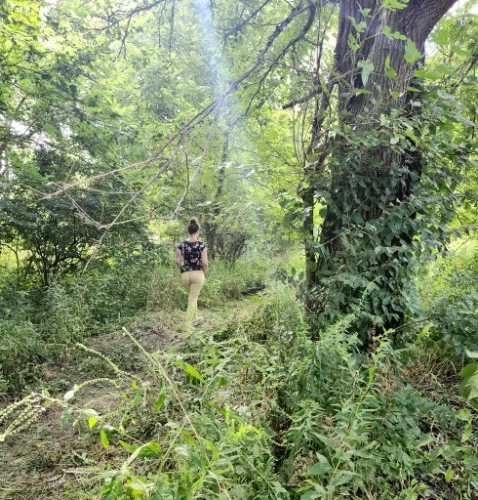 Devotion to Annabelle