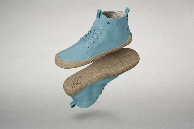 Pegasus Resouled | W 8 | M 7