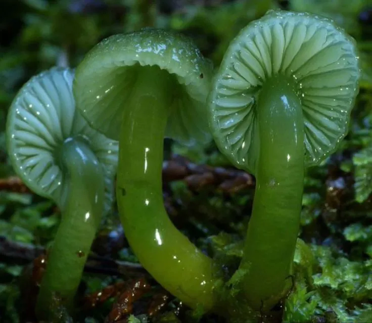 ₊✩‧₊˚౨ 11.11 ৎ˚₊✩‧₊