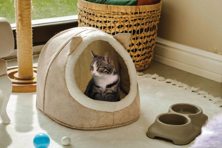 EVCİL HAYVAN KEDİ KÖPEK EVİ, SARI