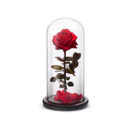 Everlasting Rose (Red) - Large