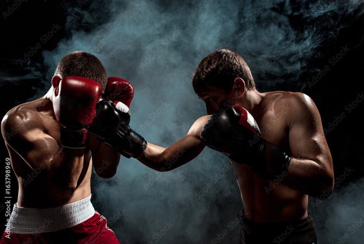 Boxing equipment and home gym.