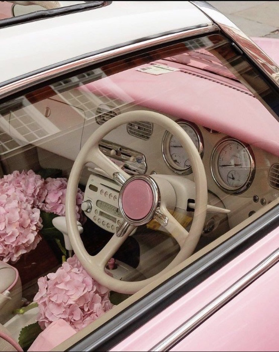 transportation💋