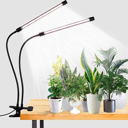 GooingTop LED Grow Light,6000K Full Spectrum Clip Plant Growing Lamp with White Red LEDs for Indoor Plants,5-Level Dimmable,Auto On Off Timing 4 8 12Hrs - 50