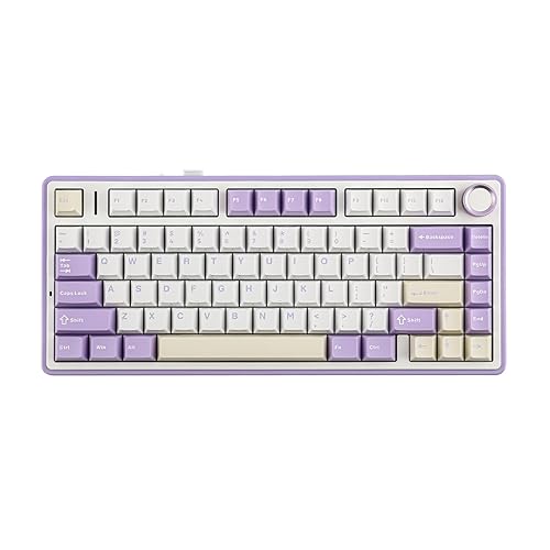 EPOMAKER x AULA F75 Gasket Mechanical Keyboard, 75% Wireless Gaming Keyboard with Five-Layer Padding&Knob, Bluetooth/2.4GHz/USB-C Hot Swappable Keyboard, NKRO (Purple, LEOBOG Reaper Switch) - LEOBOG Reaper Switch - Purple