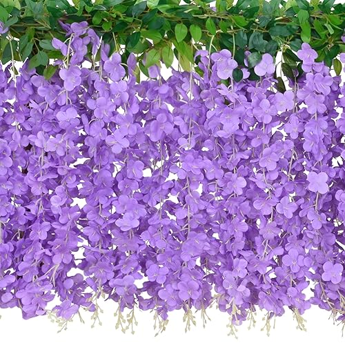 Wisteria Flowers
