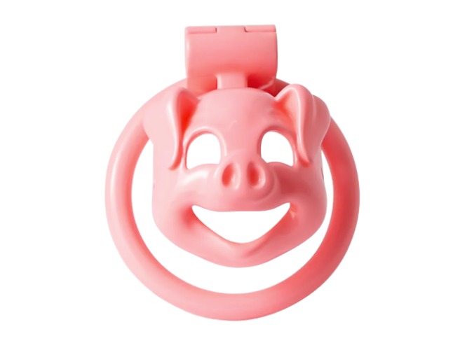 Oink Oink - Pink (Nano) | Default Title