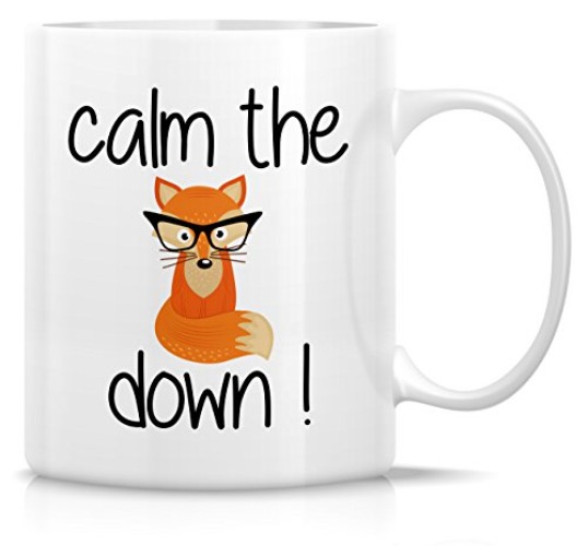 Retreez Funny Mug - Calm the Fox Down! 11 Oz Ceramic Coffee Mugs - Funny, Sarcasm, Sarcastic, Motivational, Inspirational birthday gifts for friends, coworkers, siblings, dad or mom - FOX006 - White