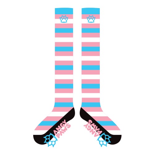 Trans Pride Sockies
