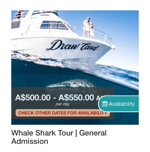 Swim with Whalesharks