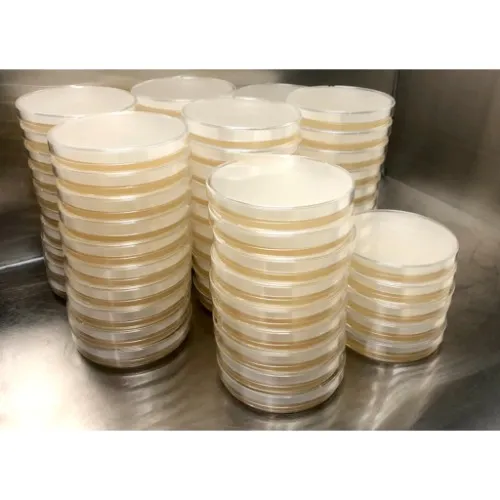 10x Petri Dishes (POTATO DEXTROSE AGAR)