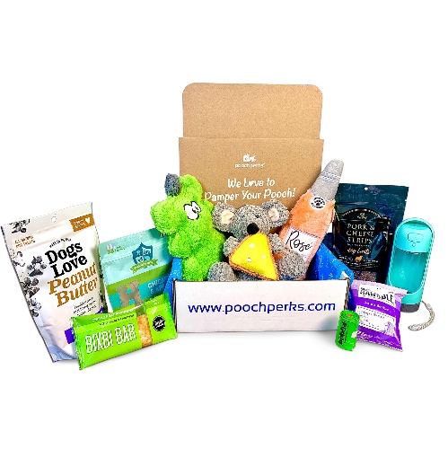 Doggy pal gift box play date 