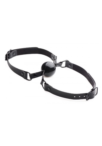 Master Series Dual Silicone Mouth Gag for Couples