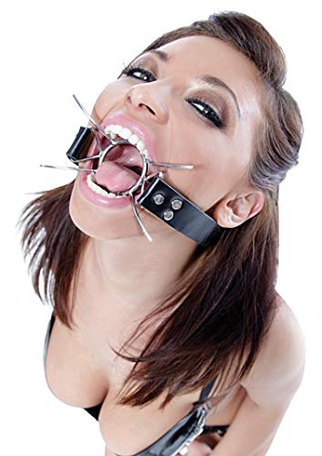 Fetish Fantasy Extreme Spider Gag, Silver