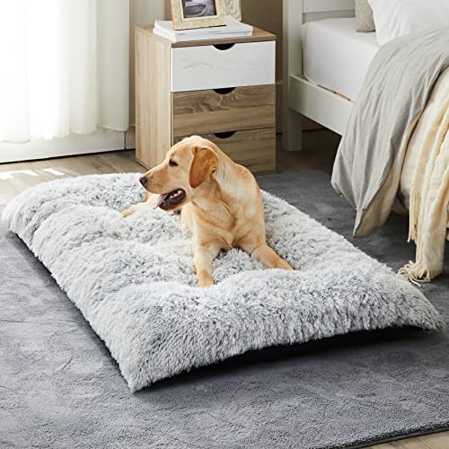 BFPETHOME Cuccia per cani di taglia grande, morbida e accogliente cuccia per cani di grandi dimensioni, tappetino lavabile con fondo antiscivolo per cani di taglia M (36 Plus (91,4 x 68,6 cm), grigio) - 36 PLUS(36 x 27 inch) - Grigio
