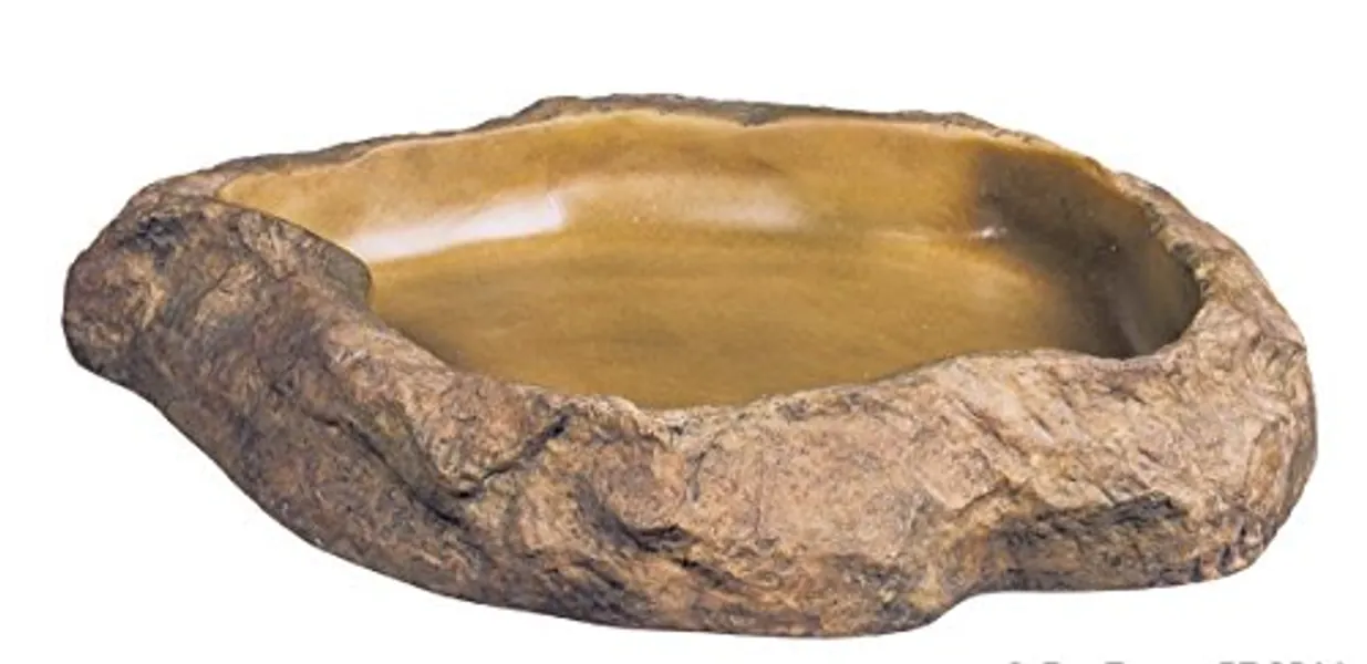 Askoll 281753 PET-538671 Exo Terra Feeding piatto (medio), M