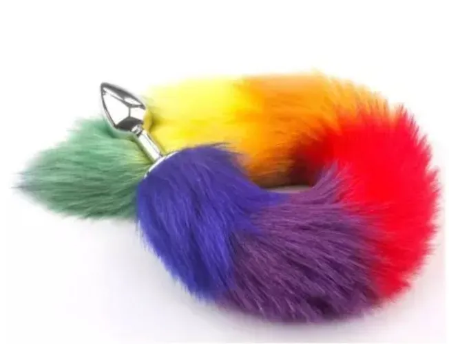 Plug Anal Queue Rainbow - BoxCoquine