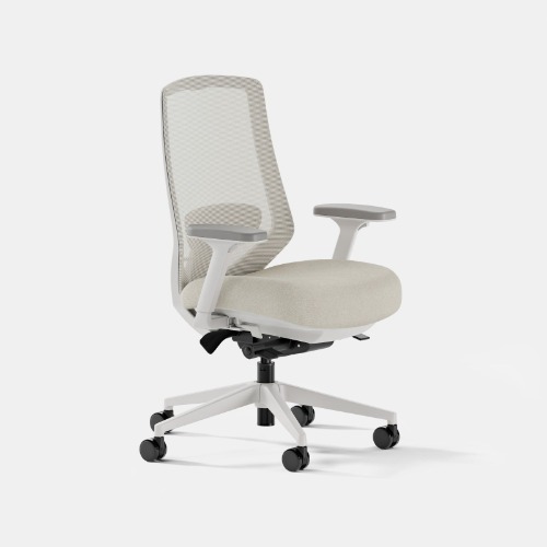 Ergonomic Chair Pro - Shore